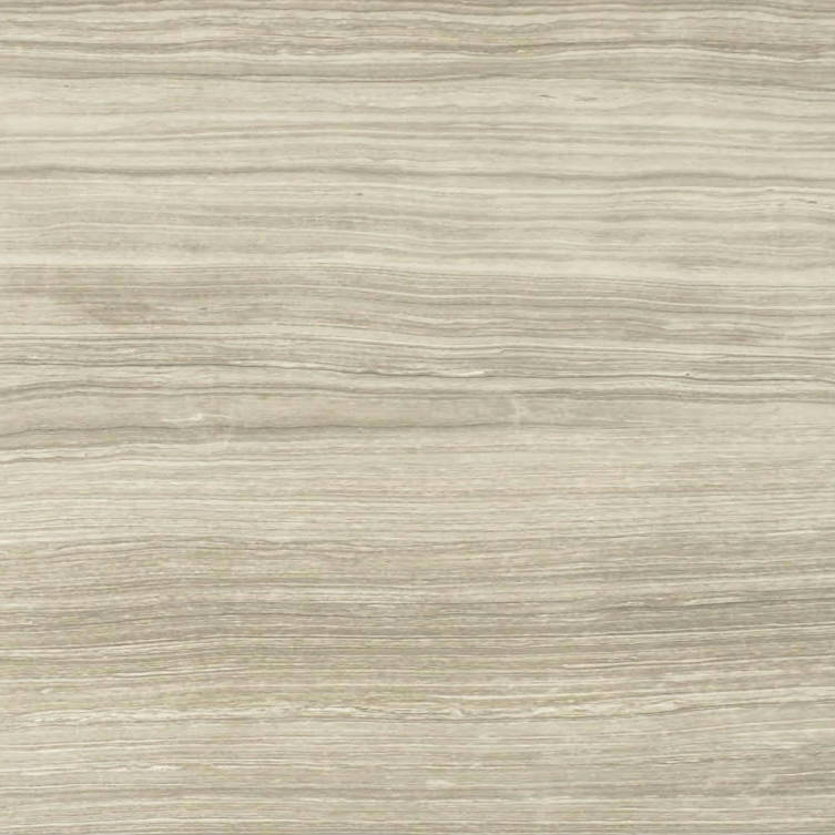 12X24F Clay Polished | Arley Wholesale