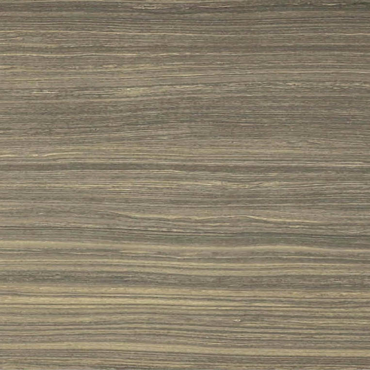 18X36F Natural | Arley Wholesale