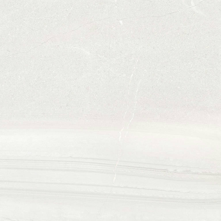 24x48 Studio Bianco | Arley Wholesale